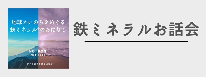 鉄ミネラルお話会