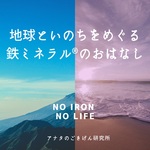 鉄ミネラル®︎お話会　　定期開催