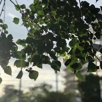 この呼吸ずっと続けていたい！と思えるほどの呼吸をした時、身体はどうなる？