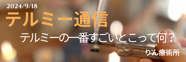 テルミー通信　　240918
