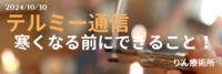 テルミー通信　　241030